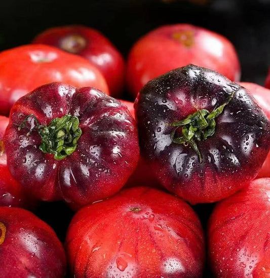 An anthocyanin-packed violet tomato