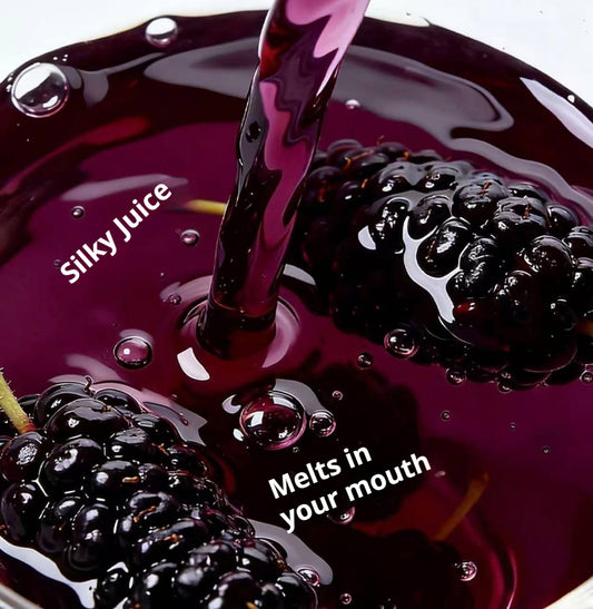 NFC Mulberry Juice: 100% Pure, Zero Water, Zero Additives