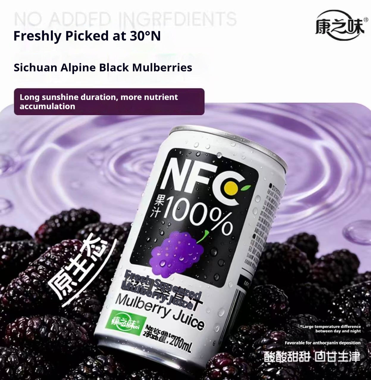 NFC Mulberry Juice: 100% Pure, Zero Water, Zero Additives
