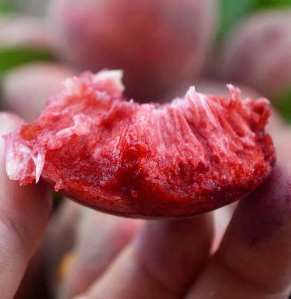 Chinese Blood Peach. Never tried? 24‑hour cold delivery. 100% guarantee on damaged fruit